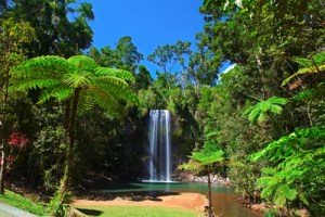tree fern and waterfall in tropical rain forest paradise