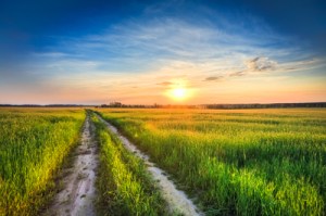 Sunset Over Rural Road In Green Field